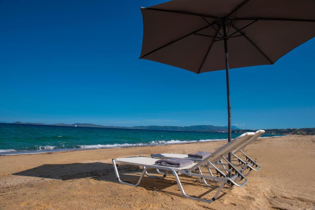 Terra D'oro * Ierissos